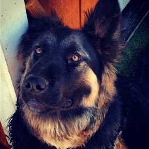 Meet your Posher, Sabrina